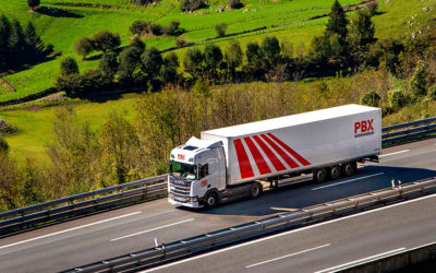 Palibex crece más del 14% en 2025