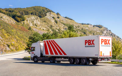 La seguridad, uno de los pilares estratégicos de Palibex